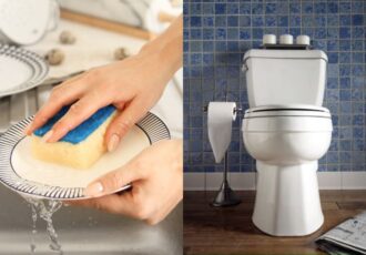 Does Your Dish Sponge Have As Many Bacteria As Feces