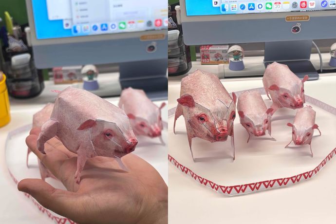 The Viral Paper Pig Folding Slacking Hack On Xhs