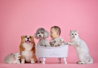 10 Moments Only Pet Owners Will Understand