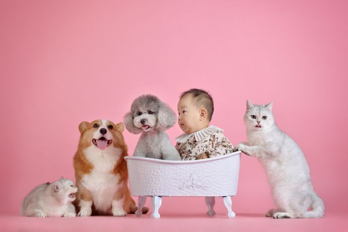 10 Moments Only Pet Owners Will Understand