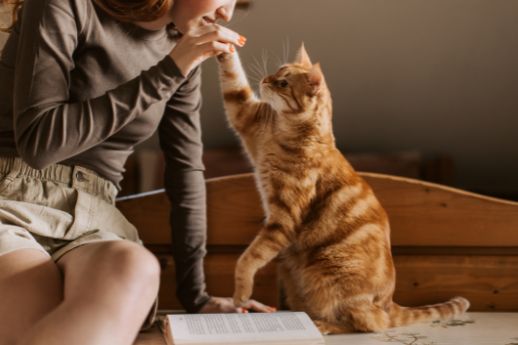 10 Moments Only Pet Owners Will Understand Cat Lover