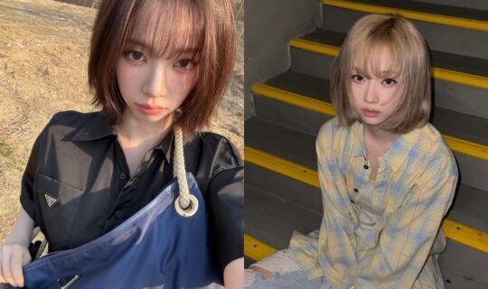A Roundup Of Korean Female Celebrities' Short Hair Styles