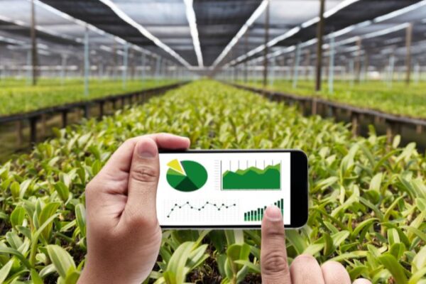 Agriculture