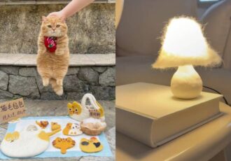 Cat Fur Diy
