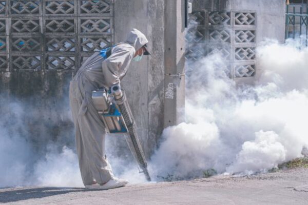 Open Windows During Mosquito Fogging