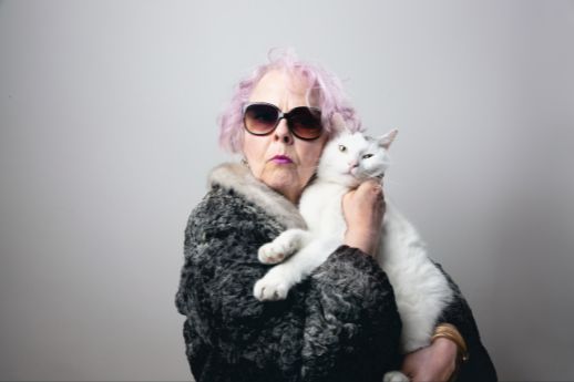Owning A Cat