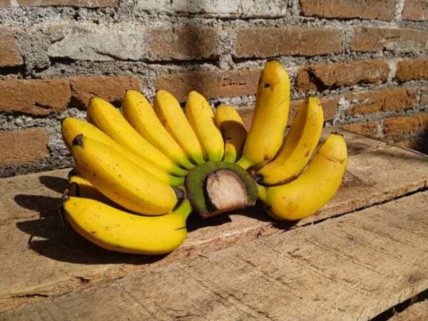 Pisang Mas