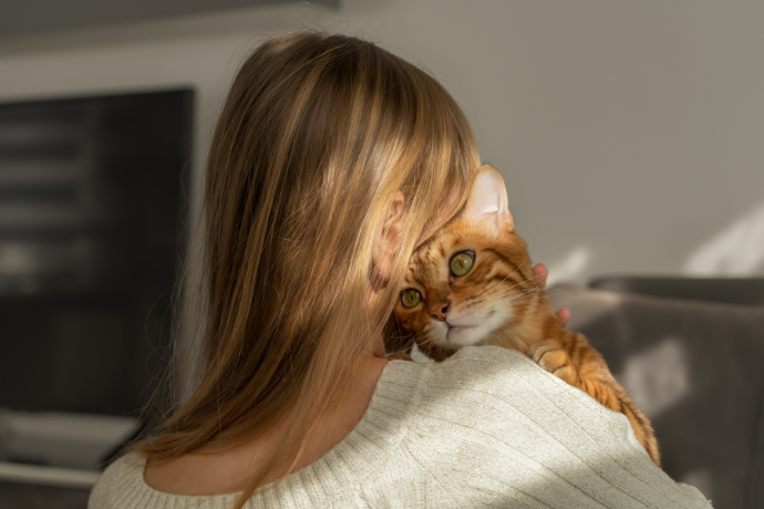 Why Do Cats Head Bunting