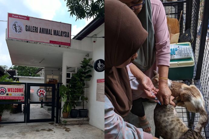 A Round Up Of 4 Animal Shelters In The Klang Valley (1)
