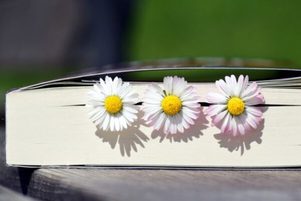 The Benefits Of Reading Peaceful