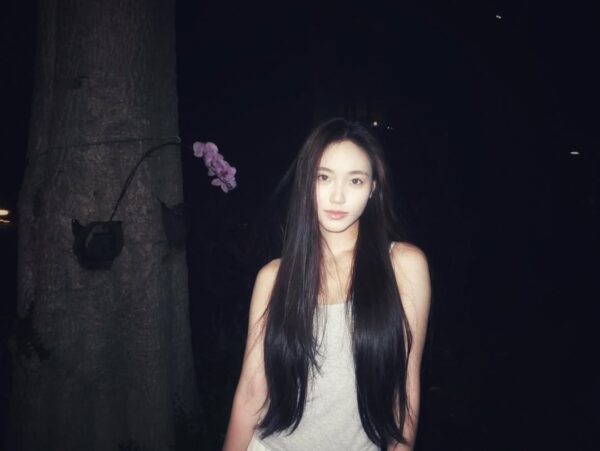 Lily 6