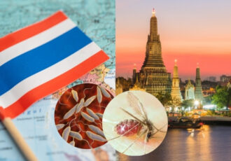 Thailand Leishmaniasis Disease6