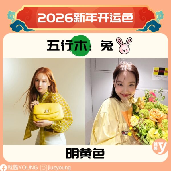 2026 new year lucky colors4