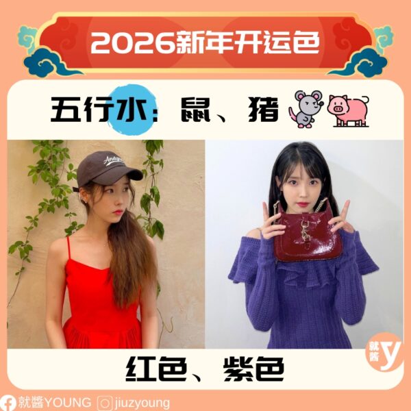 2026 new year lucky colors6