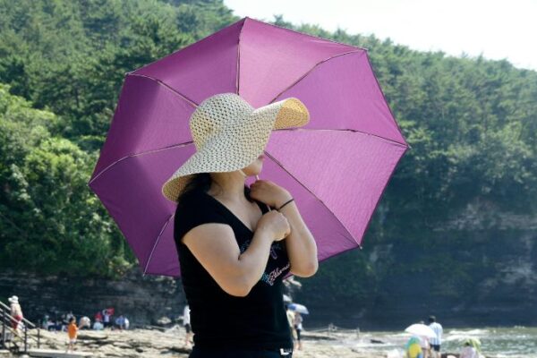 Sun Umbrella
