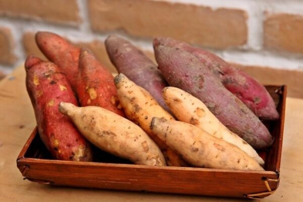 What are the differences between sweet potatoes of different colors (4)