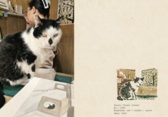 Teach You How to Create Aesthetic AI Stamp Art