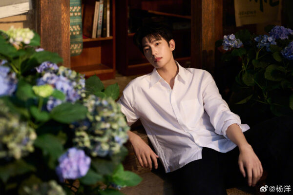 Yang yang