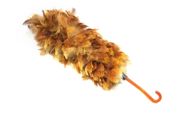 Feather duster