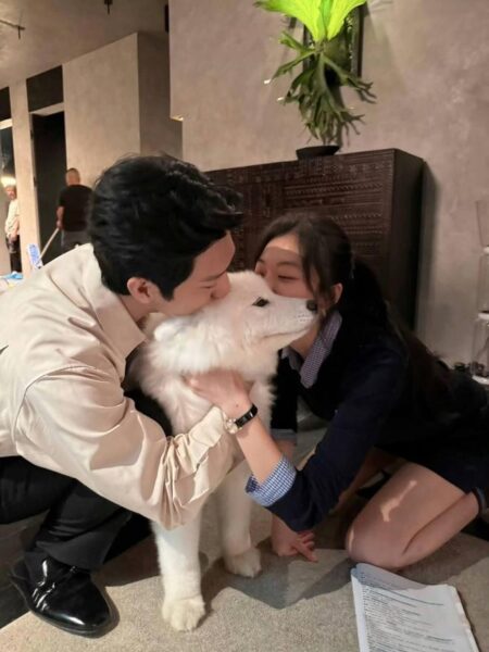 The Early Spring c drama